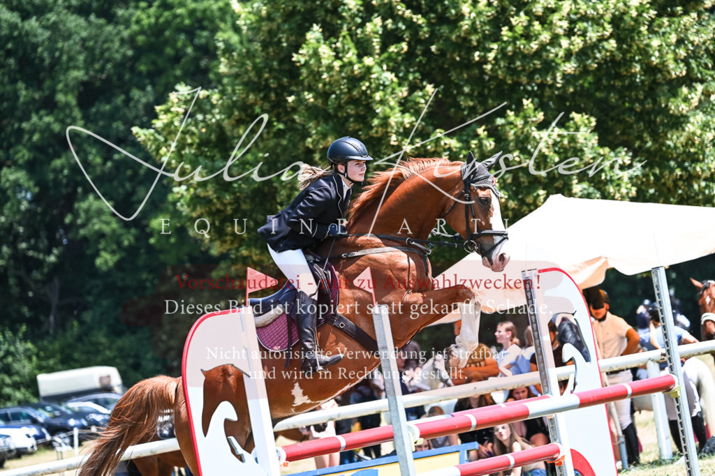 DSC_0011 | Pferde- und Turnierfotografie in Westsachsen. Pferdeportraits, Auftragszeichnungen und intuitive Kunst.