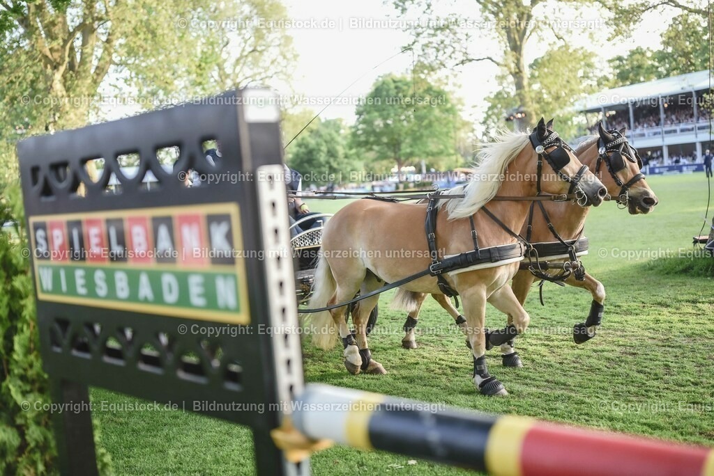 20230526_Pferdenacht_0131 | equistock