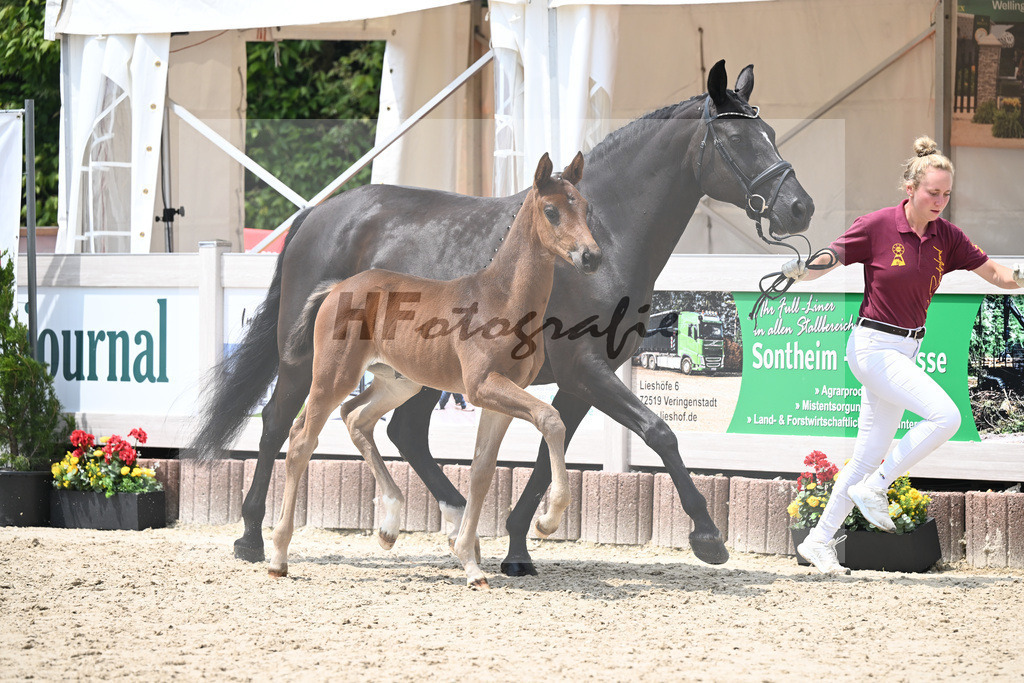 Vitalos x Lord Leopold_SF_Strohmeier_12250892 | hf-fotografie - Realisiert mit Pictrs.com