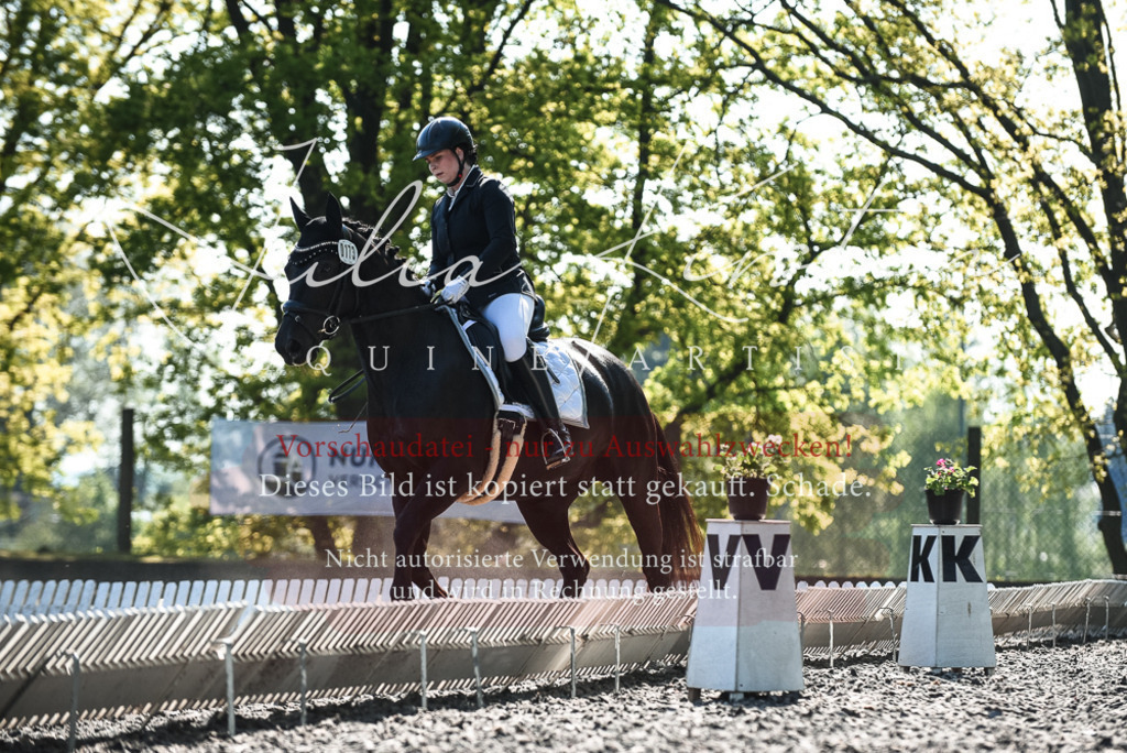 DSC_8638 | Pferde- und Turnierfotografie in Westsachsen. Pferdeportraits, Auftragszeichnungen und intuitive Kunst.
