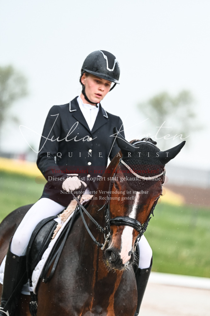 DSC_4162 | Pferde- und Turnierfotografie in Westsachsen. Pferdeportraits, Auftragszeichnungen und intuitive Kunst.