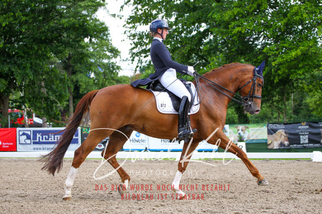 DKP41550 | Turnierfotos kaufen im Webshop von Daniel Kuhl Photography – entdecke professionelle Reitsportfotos aus Turnieren & Events. Hochwertige Turnierbilder online bestellen & sichern. Jetzt Fotos von Reitsportturnieren kaufen!