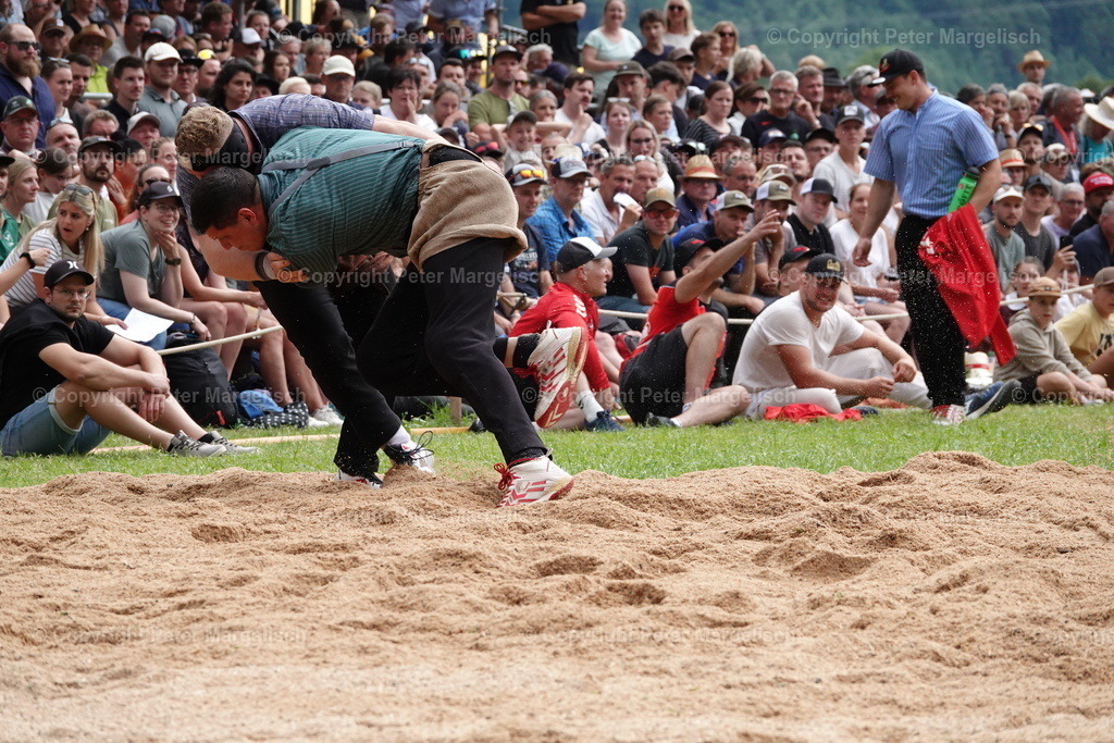 DSC01324 | Schwingen - Realisiert mit Pictrs.com