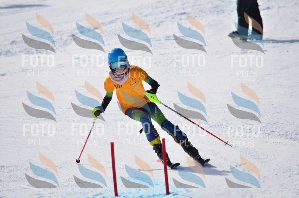 C9498 | holidayphoto