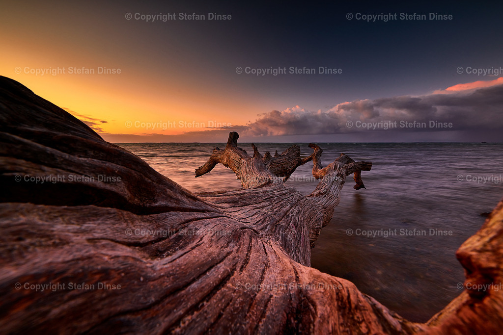 _DSC7107 1 | Findlinge im Eis, Zeesenboote bei der Traditionsregatta, eine Seebrücke im Sonnenaufgang - mit den Bildern aus dieser Galerie erhalten Sie wunderschöne Aufnahmen über das ganze Jahr. Ein tolles Produkt zum Verschenken, Werben oder zum Träumen vom nächsten - Realisiert mit Pictrs.com