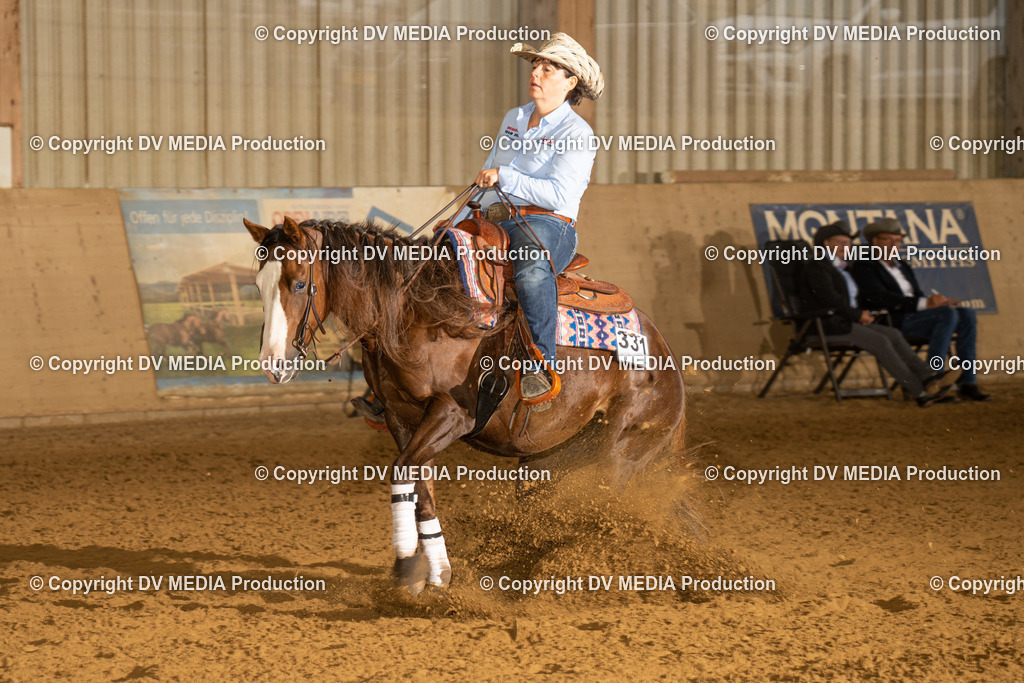 LAU00271 | dv-media-shop - Realisiert mit Pictrs.com