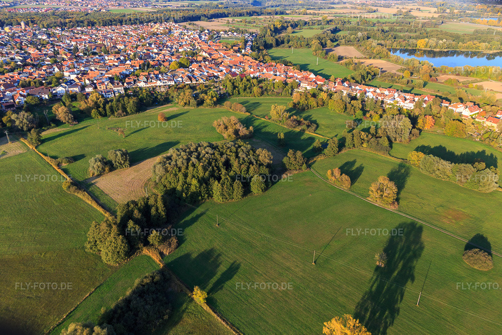 Luftbild: Park an der Ziegelbergstraße in Jockgrim im Bundesland Rheinland-Pfalz in Deutschland. Foto: IMG_123345.jpg vom 19.10.2020 durch Werner Riehm/FLY-FOTO.de