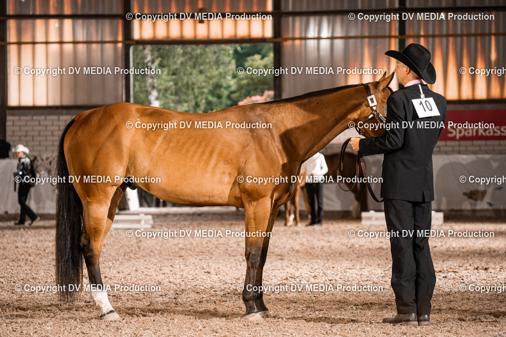 ZH200118 | dv-media-shop - Realisiert mit Pictrs.com