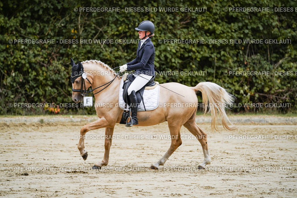 DSC09044 | Pferdegrafie