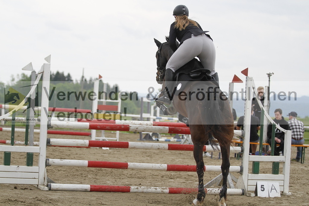 _MG_7722 | equestrian-live-com