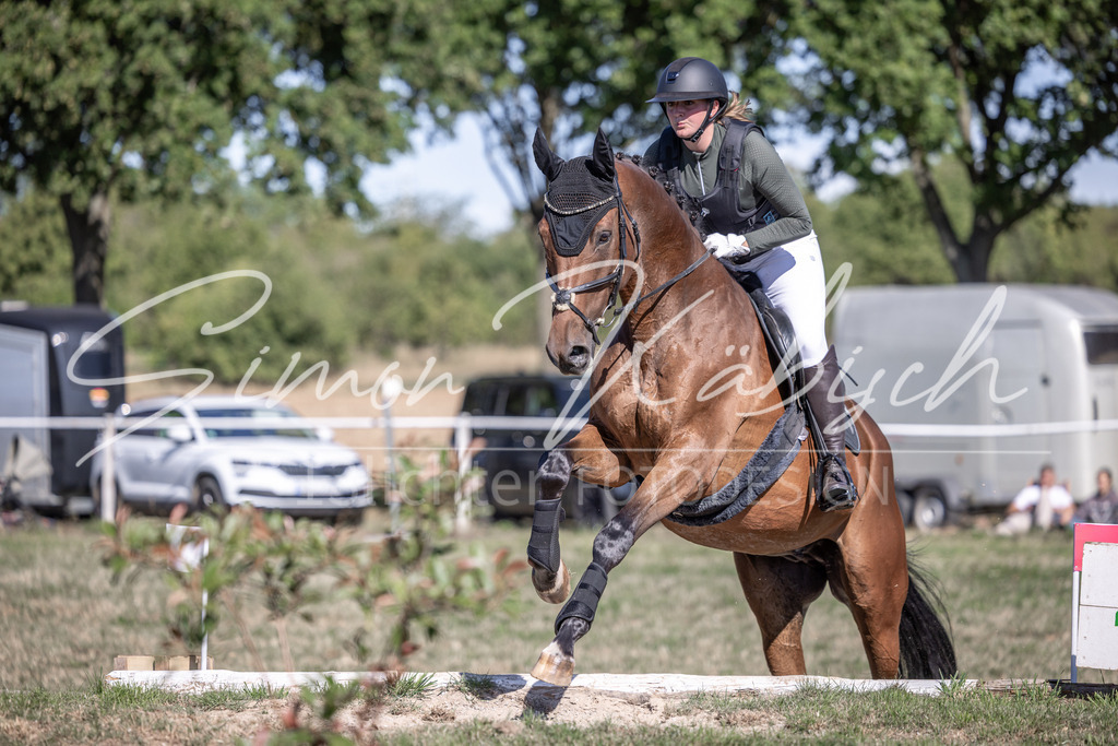 20260906-_3LI2449 | Tierfotografie Pferde, Hunde, Katzen, Haustiere.
Turnierfotografie Reitturniere, Reiten, Springreiten, Dressur in Hanau, dem Main-Kinzig-Kreis und dem Rhein-Main- Gebiet um Frankfurt