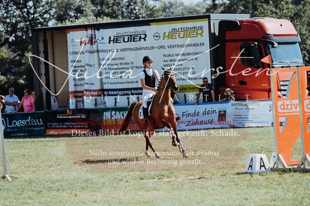 DSC_6141 | Pferde- und Turnierfotografie in Westsachsen. Pferdeportraits, Auftragszeichnungen und intuitive Kunst.