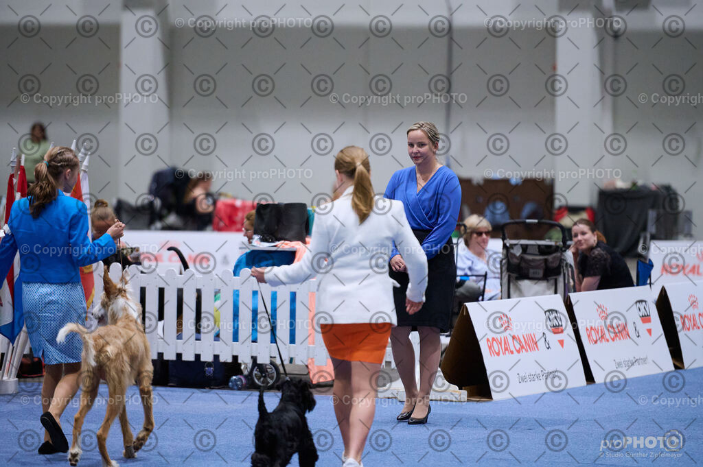 202406_ÖKV-IHA-Tulln24_DSC_2733 | proPHOTO - Realisiert mit Pictrs.com