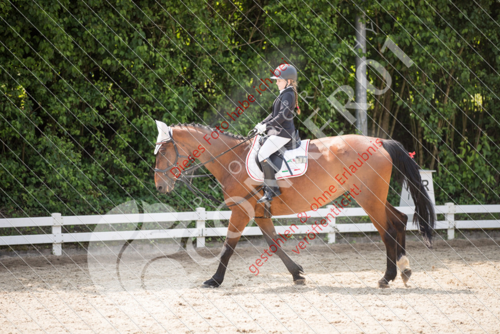 IMG_3499 | Sport-, Event- und Tierfotos in Profiqualität. Einfach auswählen, bestellen und herunterladen. Dein Moment – perfekt festgehalten.