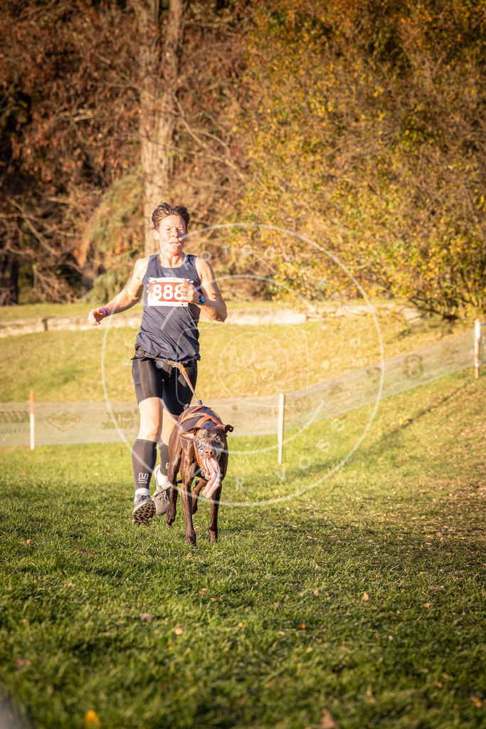 CaniXpix_0L8A1230 | Hundefotografie, Tierfotograf, Pfotenfotografie, Fotoshooting Hund, Hunde Portrait, Hundesport, Hundeportraits, Heideshooting, Hunde, Sportfotograf, Hundefotograf, Turnierhundsport, THS,  - Realisiert mit Pictrs.com