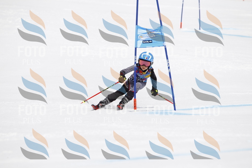 _U3G6191 | holidayphoto