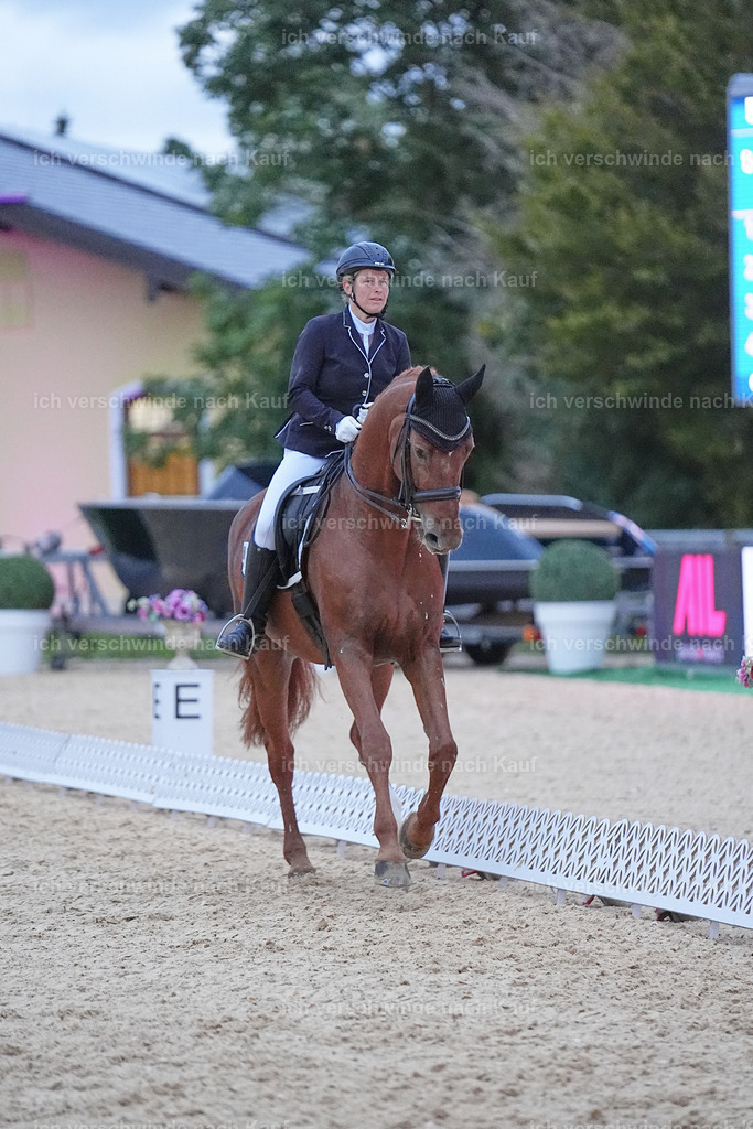 04_2-090-Dressur M__ -Marixx-3091 | working equitationturnier fotograf videograf stoibphotography marixx film working equitation deutschland reitsport turnierfotografie eventfotografie equestrian events