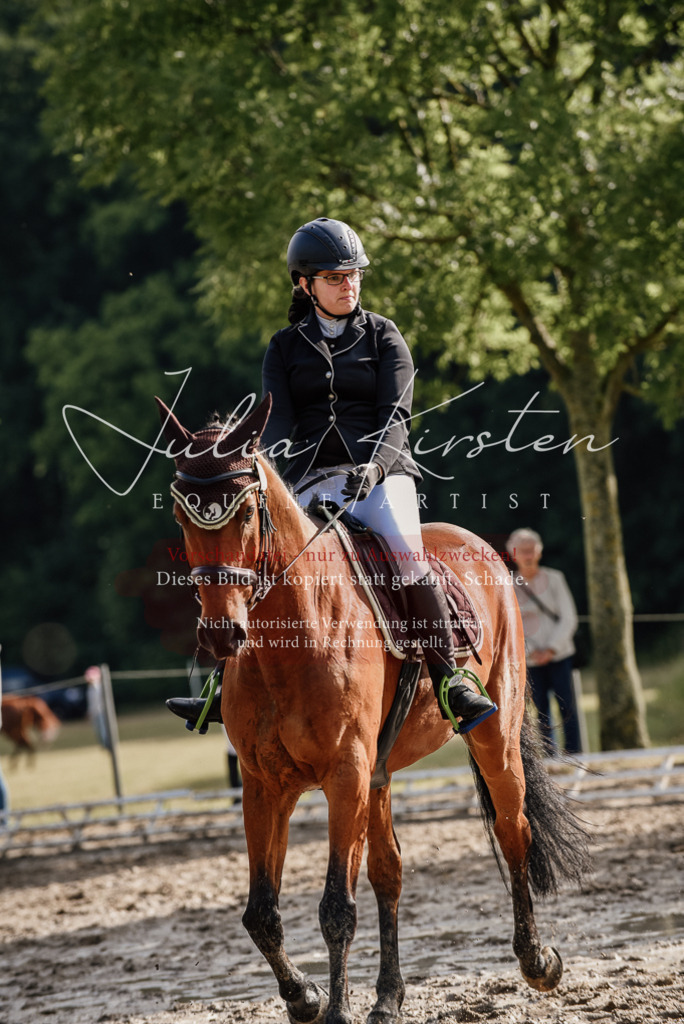 DSC_8485 | Pferde- und Turnierfotografie in Westsachsen. Pferdeportraits, Auftragszeichnungen und intuitive Kunst.
