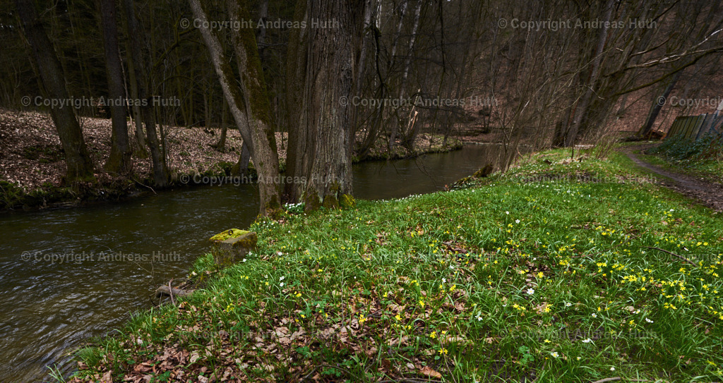 Im Wesenitzgrund westlich von Helmsdorf 02 | Bedeutsame Landschaften Deutschlands - Realisiert mit Pictrs.com