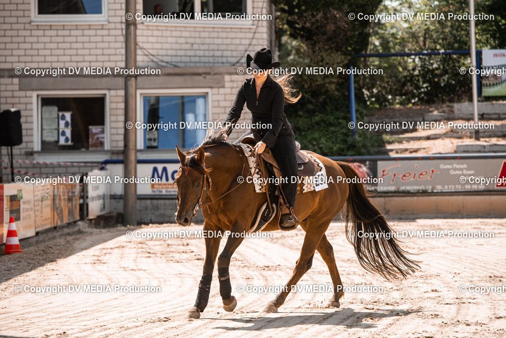 ZS3_0073 | dv-media-shop - Realisiert mit Pictrs.com