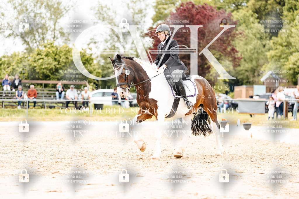 CK903607 | Turnierfotografie Pferdefotografie Trier Rheinland-Pfalz Pferdesport Reitsport Tierfotografie Sportfotografie Pferdevideo Pferdevideografie Equestrianvideography equestrianphotography  - Realisiert mit Pictrs.com