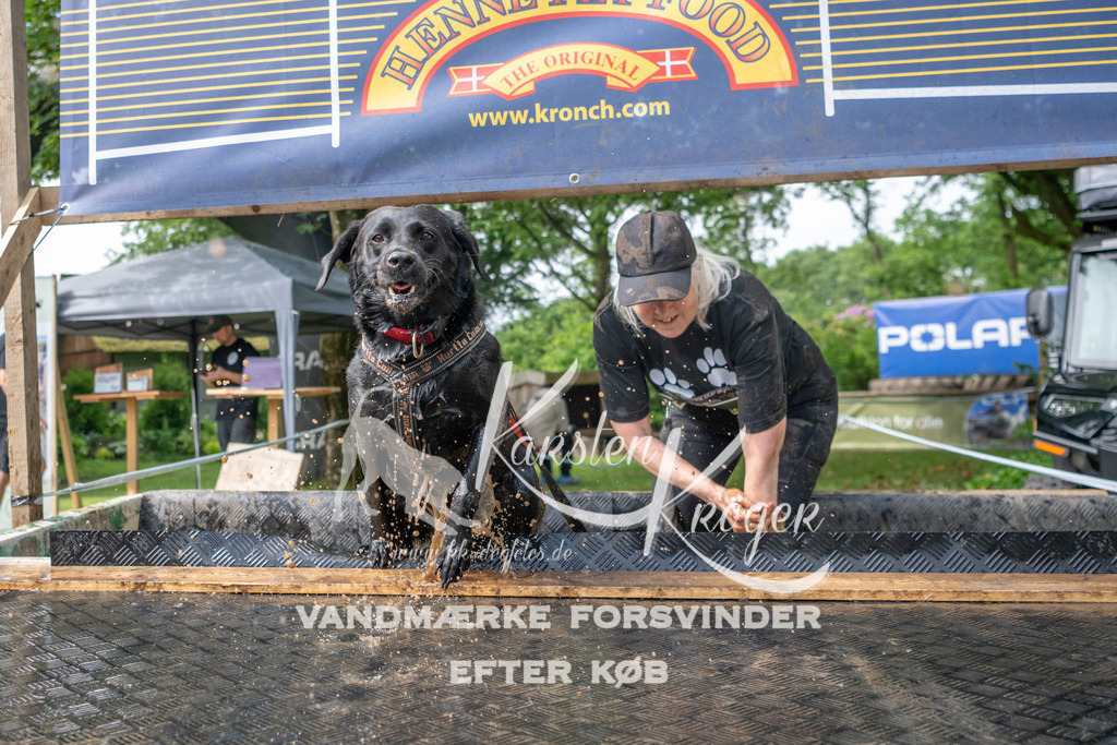 1010_ZZ94334 | kk-dogfotos