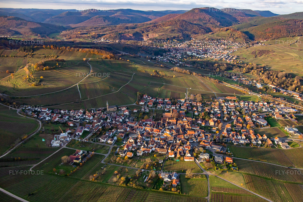 Luftbild: Ortsansicht von Südosten in Birkweiler im Bundesland Rheinland-Pfalz in Deutschland. Foto: IMG_139263.jpg vom 22.11.2023 durch Werner Riehm/FLY-FOTO.de