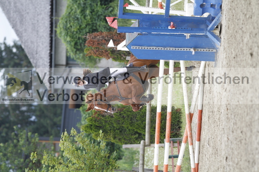 _MG_0393 | equestrian-live-com