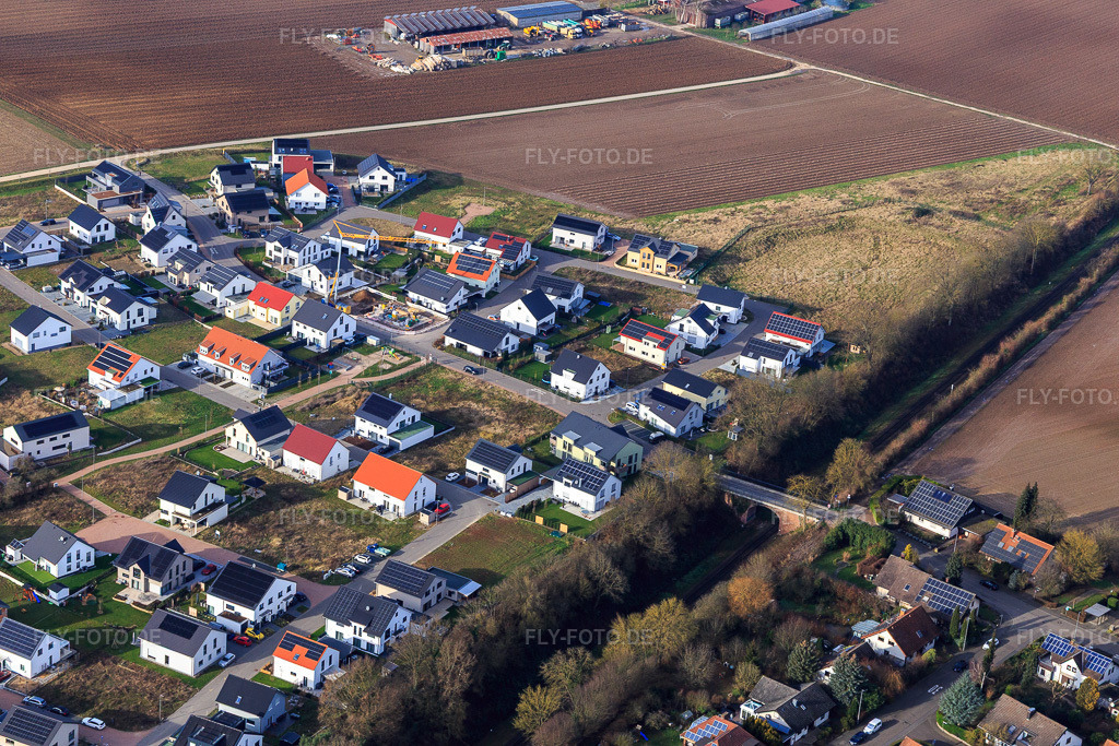Luftbild: Veilchenweg, Narzissenweg in Kandel im Bundesland Rheinland-Pfalz in Deutschland. Foto: IMG_145088.jpg vom 04.01.2025 durch Werner Riehm/FLY-FOTO.de