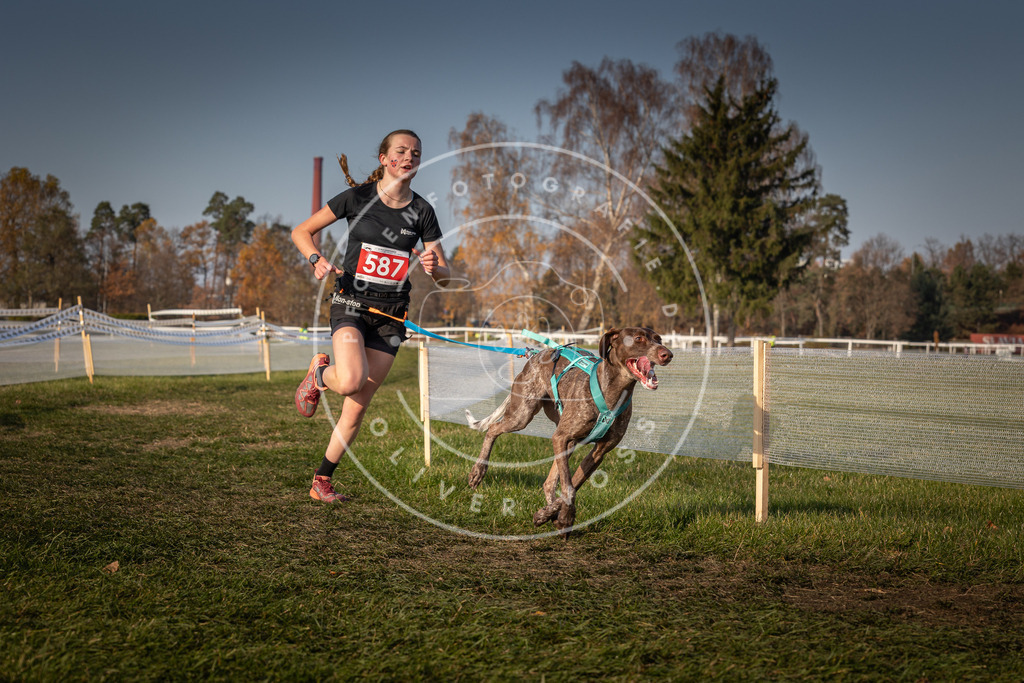 CaniXpix_0L8A9771 | Hundefotografie, Tierfotograf, Pfotenfotografie, Fotoshooting Hund, Hunde Portrait, Hundesport, Hundeportraits, Heideshooting, Hunde, Sportfotograf, Hundefotograf, Turnierhundsport, THS,  - Realisiert mit Pictrs.com
