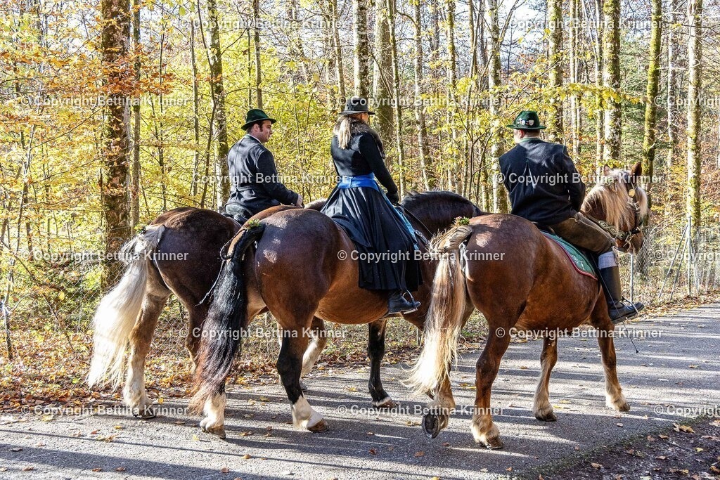 LL24-339 | foto-bettina-krinner - Realisiert mit Pictrs.com