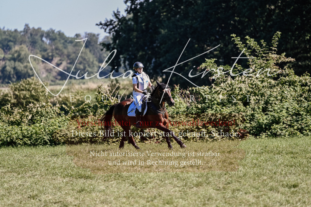 DSC_1522 | Pferde- und Turnierfotografie in Westsachsen. Pferdeportraits, Auftragszeichnungen und intuitive Kunst.