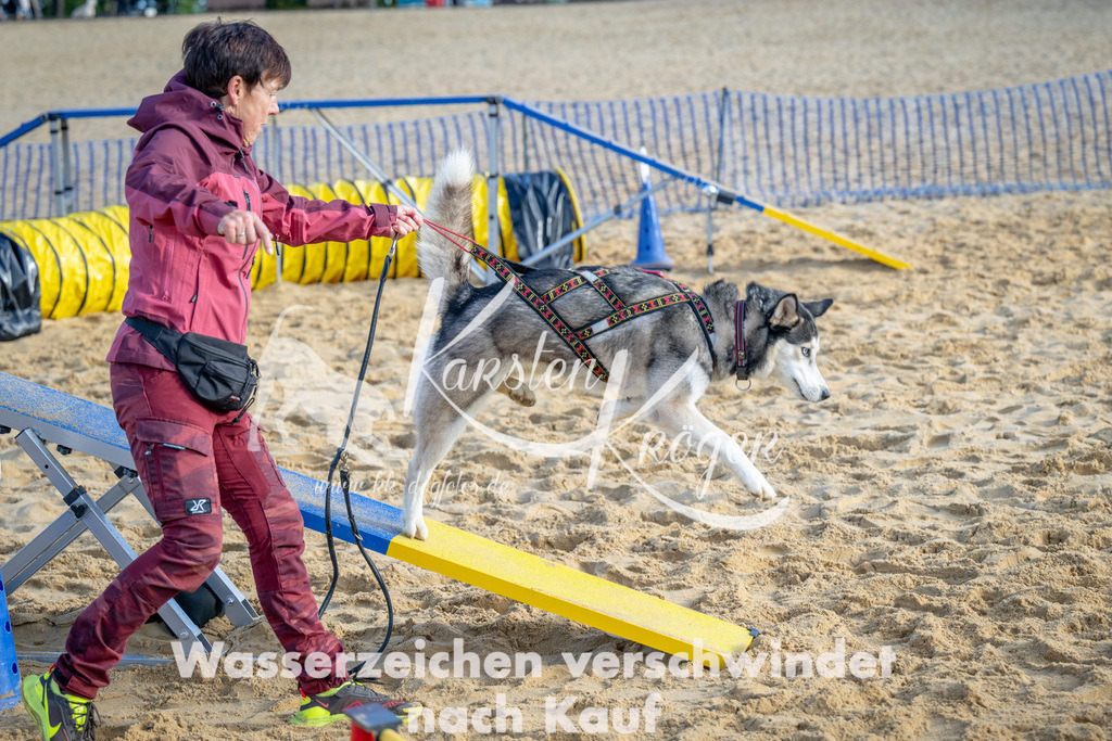 0953_ZZ93036 | kk-dogfotos