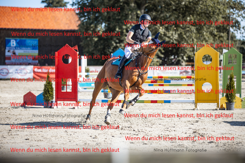 BK1A7201 | Turnierbilder Turnierfotos Nina Hüffmann Turnierfotografie Pferdefotografie Tierzeichnung Haustierzeichnung Pferdezeichnung Hundezeichnung Videograf  - Realisiert mit Pictrs.com
