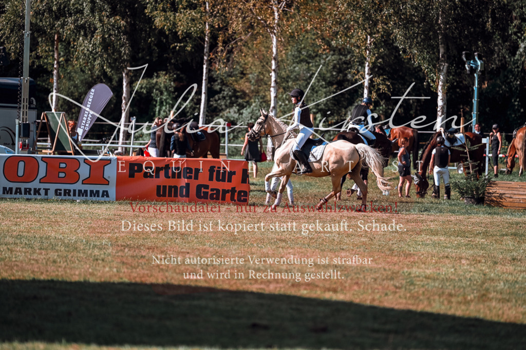 DSC_1105 | Pferde- und Turnierfotografie in Westsachsen. Pferdeportraits, Auftragszeichnungen und intuitive Kunst.