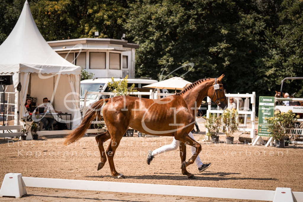 1.Fr00044 | Leoni Ertmer Photography - Realisiert mit Pictrs.com