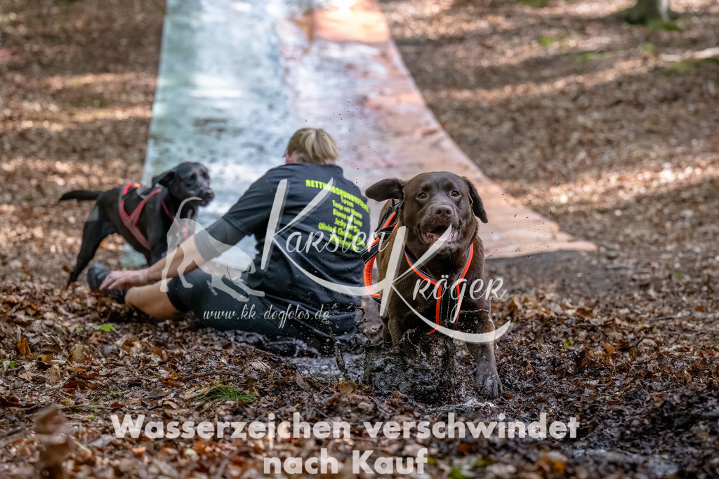 1144_ZZ92349-Bearbeitet | kk-dogfotos