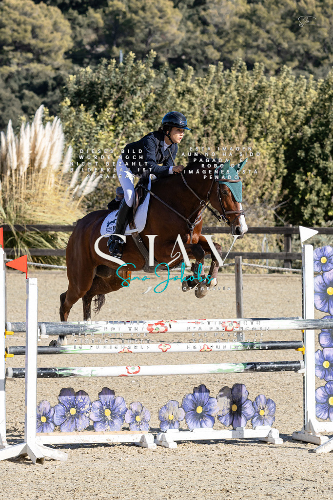 IMG_0031 | s-jay-photography - Realisiert mit Pictrs.com