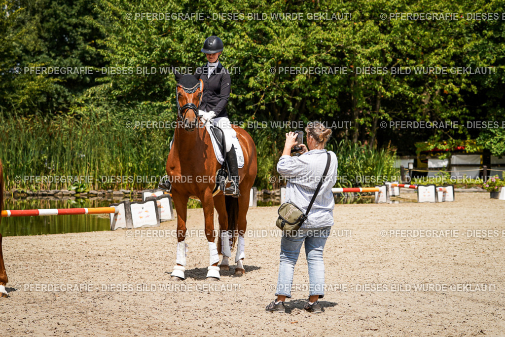 DSC01936 | Pferdegrafie