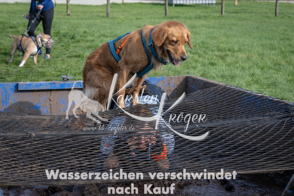 1609_ZZ91776 | kk-dogfotos
