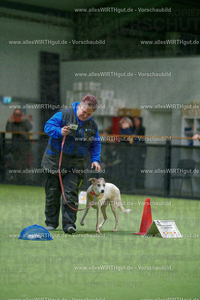 7R504512 | Professionelle Tierfotografie in Mönchengladbach von Daniel Wirth (allesWIRTHgut). Liebevolle & natürliche Bilder von Hunden & Katzen für unvergessliche Erinnerungen.