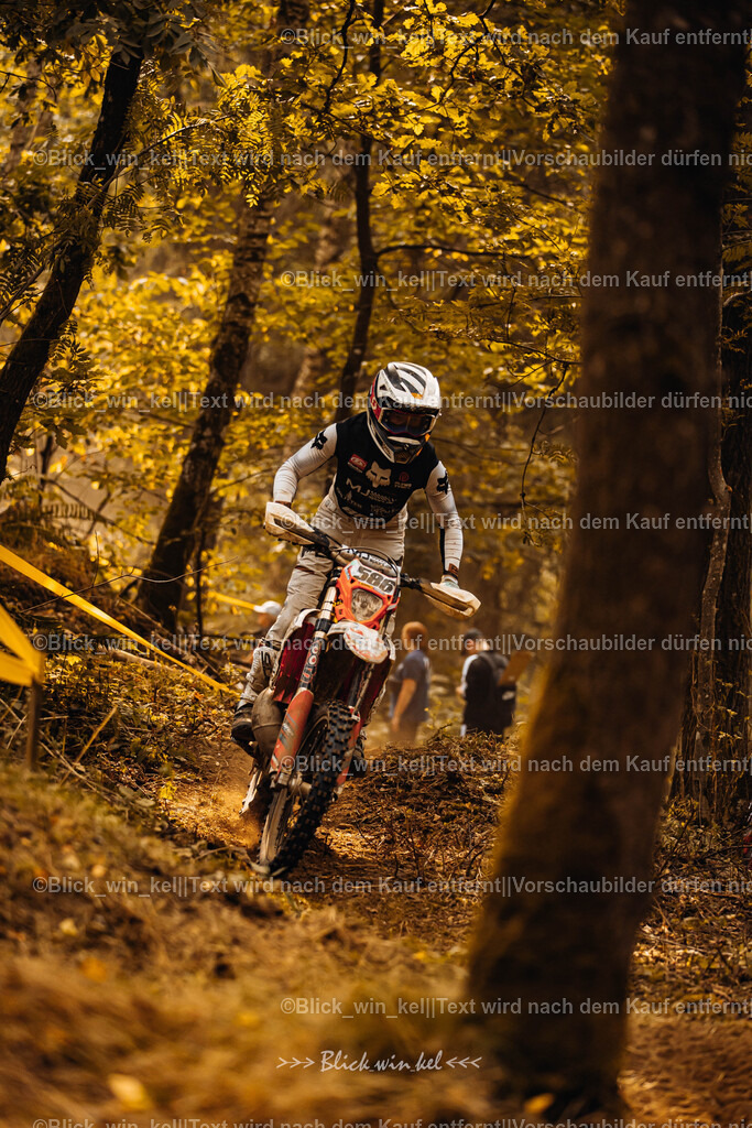 E68A4031 | blick_win_kel