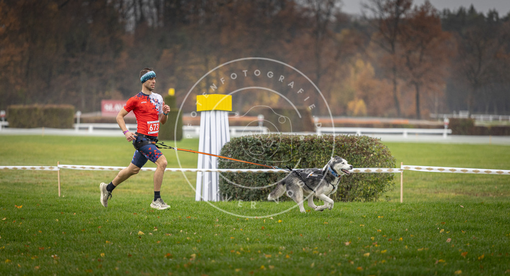 CaniXpix_DV3A9532 | Hundefotografie, Tierfotograf, Pfotenfotografie, Fotoshooting Hund, Hunde Portrait, Hundesport, Hundeportraits, Heideshooting, Hunde, Sportfotograf, Hundefotograf, Turnierhundsport, THS,  - Realisiert mit Pictrs.com