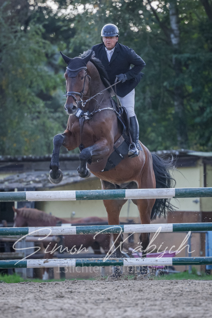 20251012-_3LI5678 | Tierfotografie Pferde, Hunde, Katzen, Haustiere.
Turnierfotografie Reitturniere, Reiten, Springreiten, Dressur in Hanau, dem Main-Kinzig-Kreis und dem Rhein-Main- Gebiet um Frankfurt