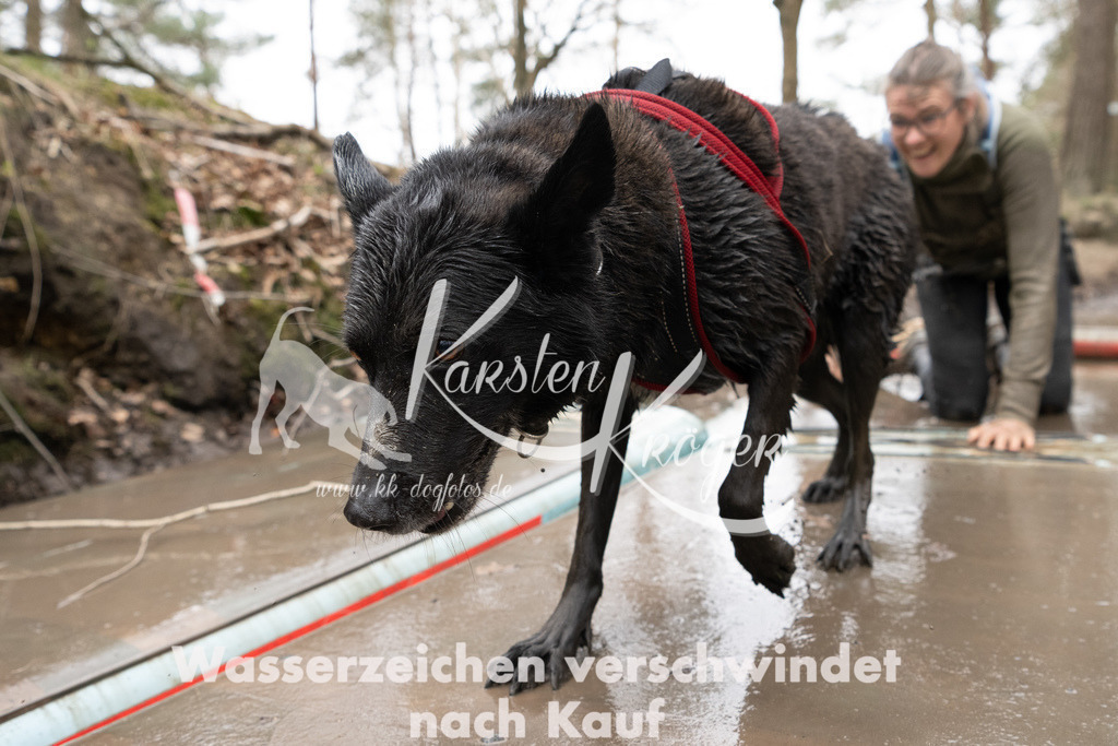 1211DSC_5537 | kk-dogfotos
