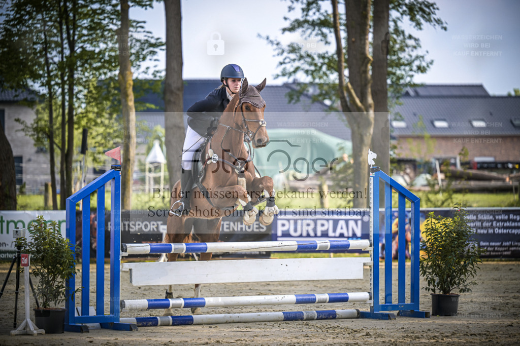 DOS_4154 | Entdecke hochwertige Reitturnierfotos von Foto Oger. Professionell, emotional und authentisch – jetzt Lieblingsmomente im Shop bestellen. - Realisiert mit Pictrs.com
