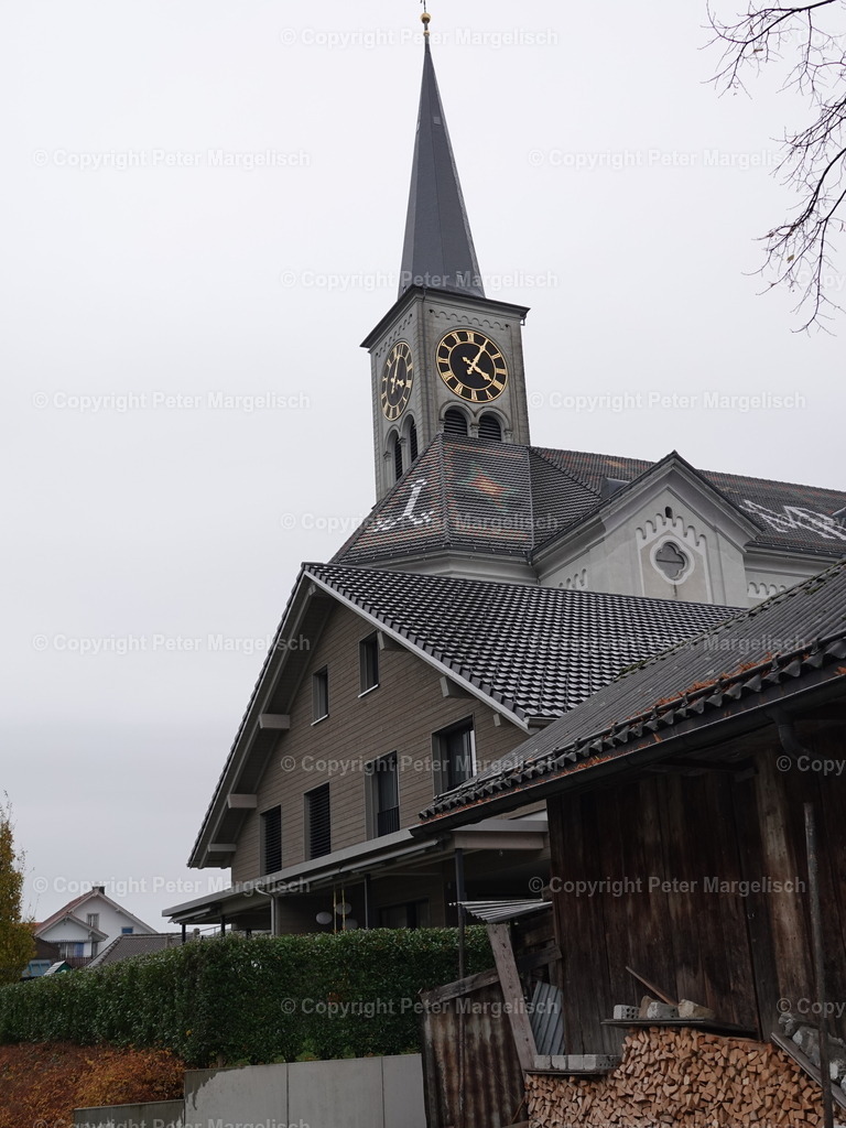 DSC05875 | Schwingen - Realisiert mit Pictrs.com