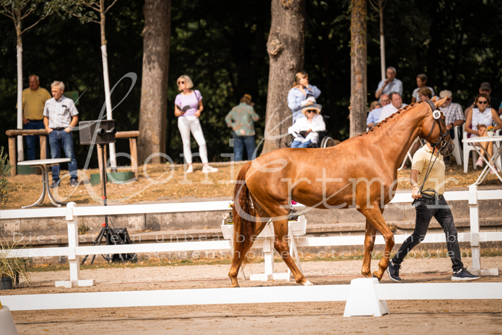 5.Fr00110 | Leoni Ertmer Photography - Realisiert mit Pictrs.com