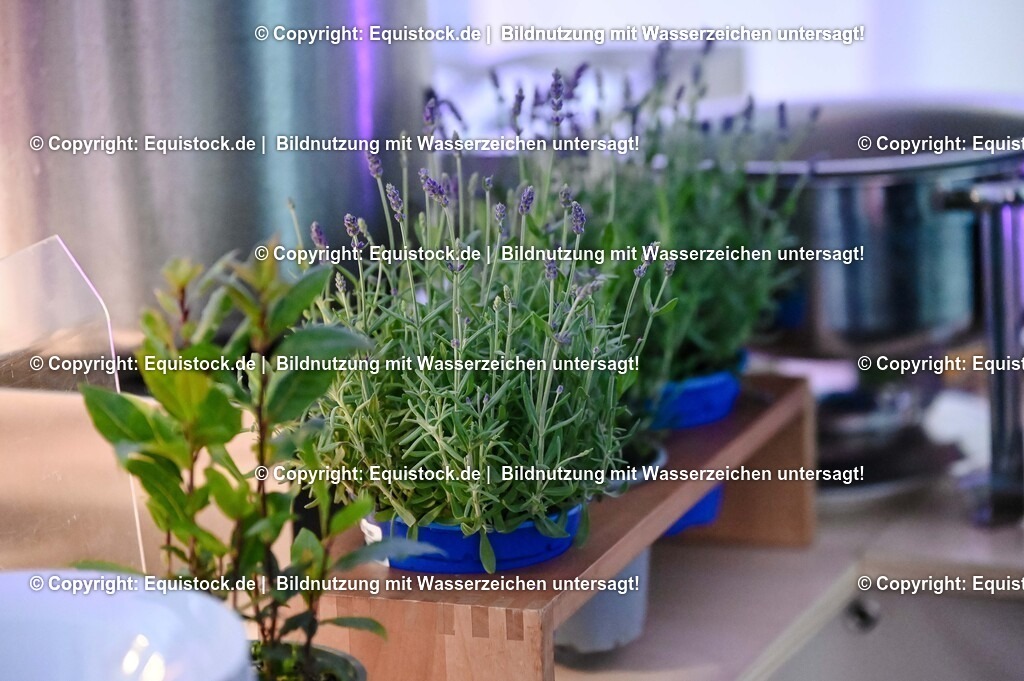 20250608_Impressionen_0238 | Foto: Thomas Hartig