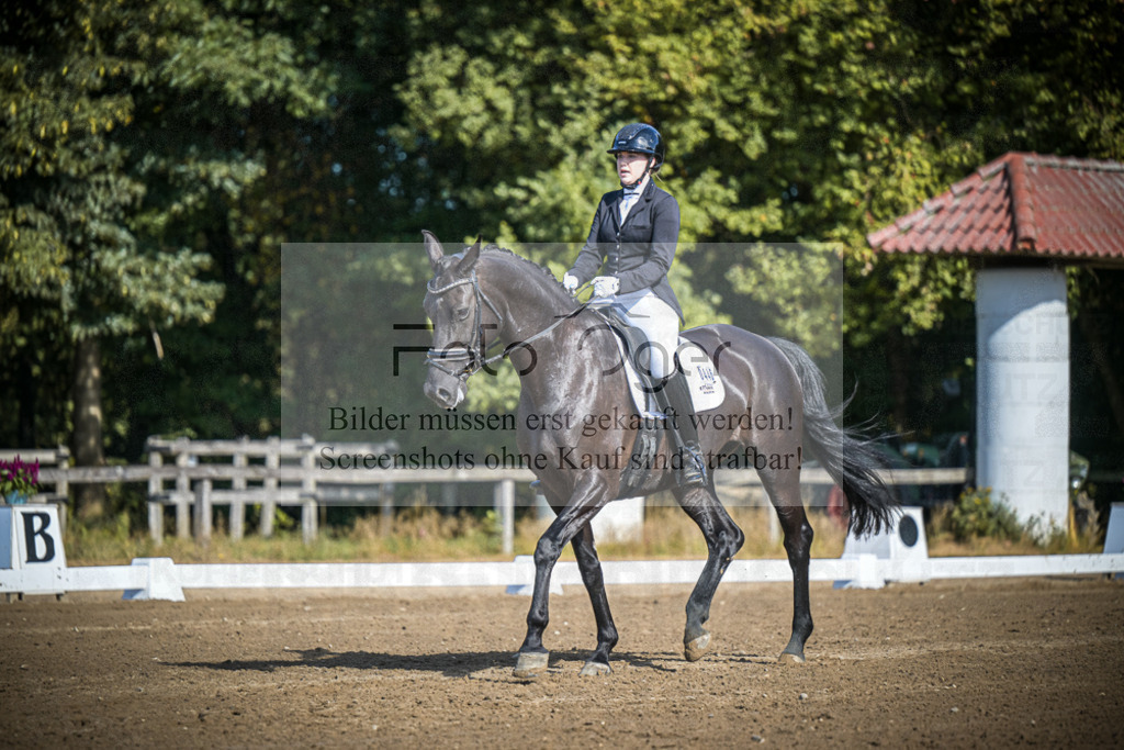 DOS_2792 | Entdecke hochwertige Reitturnierfotos von Foto Oger. Professionell, emotional und authentisch – jetzt Lieblingsmomente im Shop bestellen.Deutschlandweite Turnierfotografie. - Realisiert mit Pictrs.com
